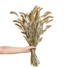 Bukett Setaria 70cm Grön