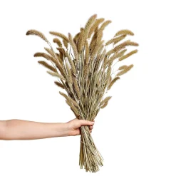 Bukett Setaria 70cm Grön