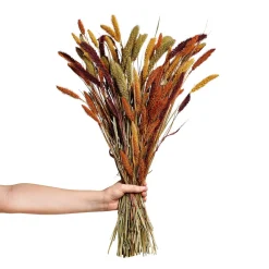 Bukett Setaria 70cm Mix
