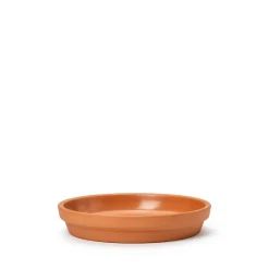 Fat Terrakotta 19cm