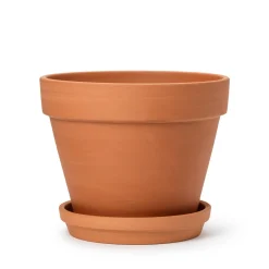 Fat Terrakotta 19cm