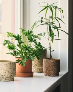 Kruka Cylinder 14cm Terrakotta