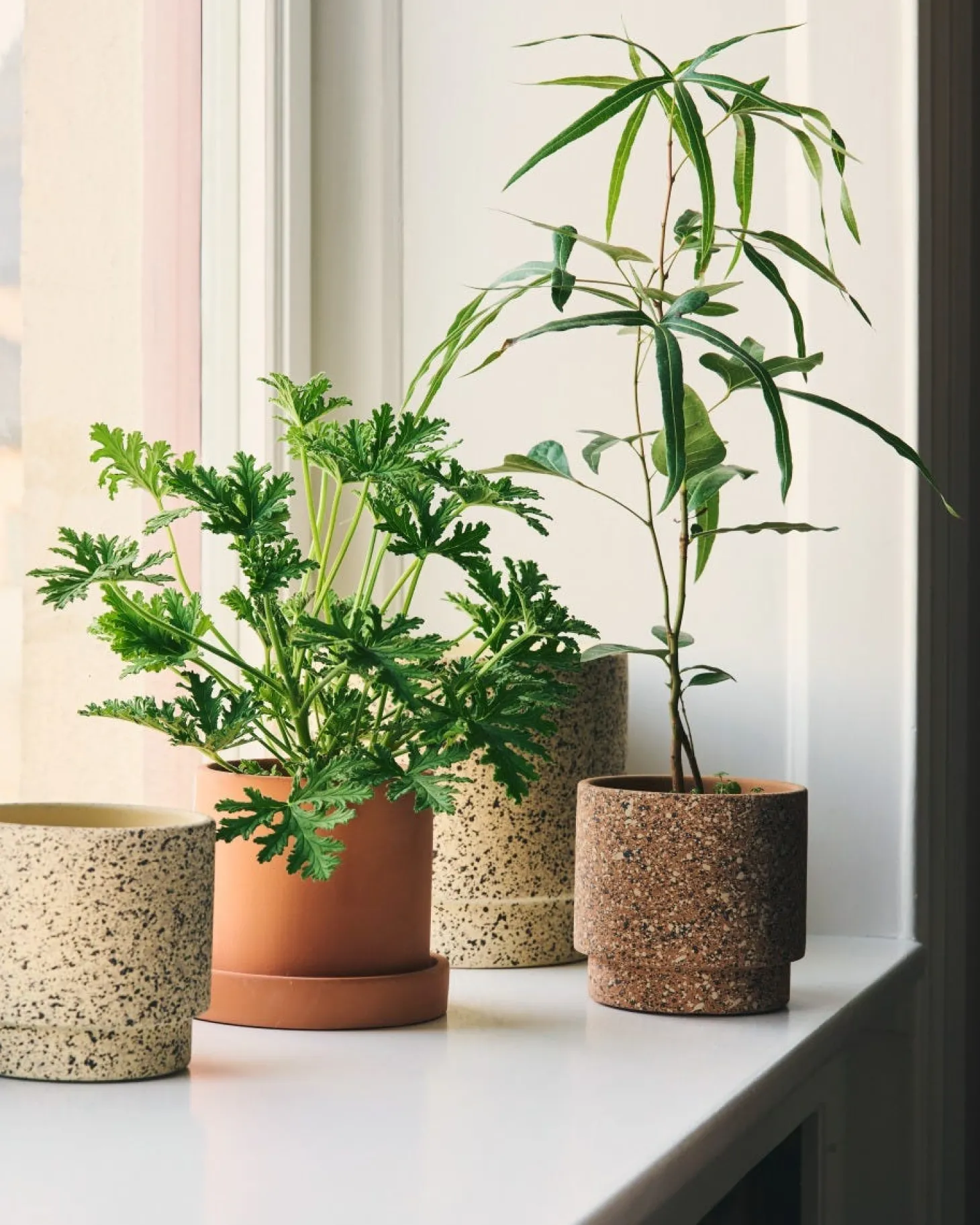 Kruka Cylinder 14cm Terrakotta