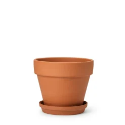 Kruka Terrakotta 17cm